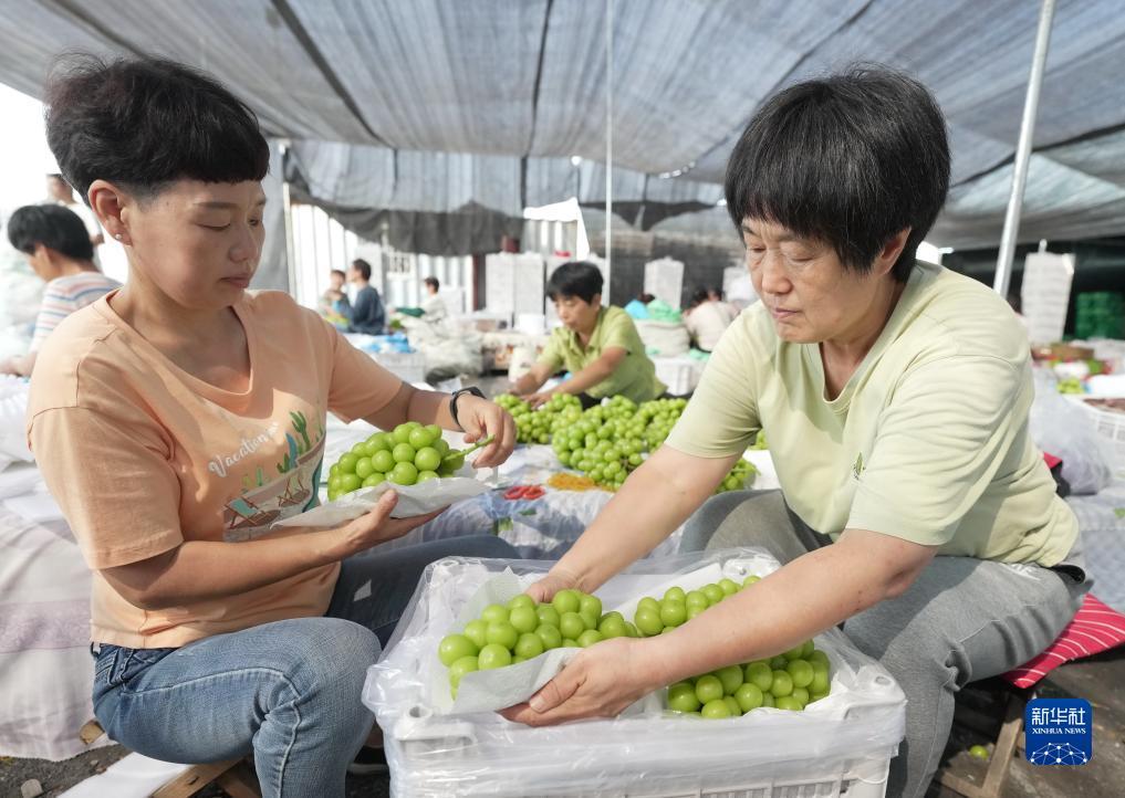 新开网页足球游戏